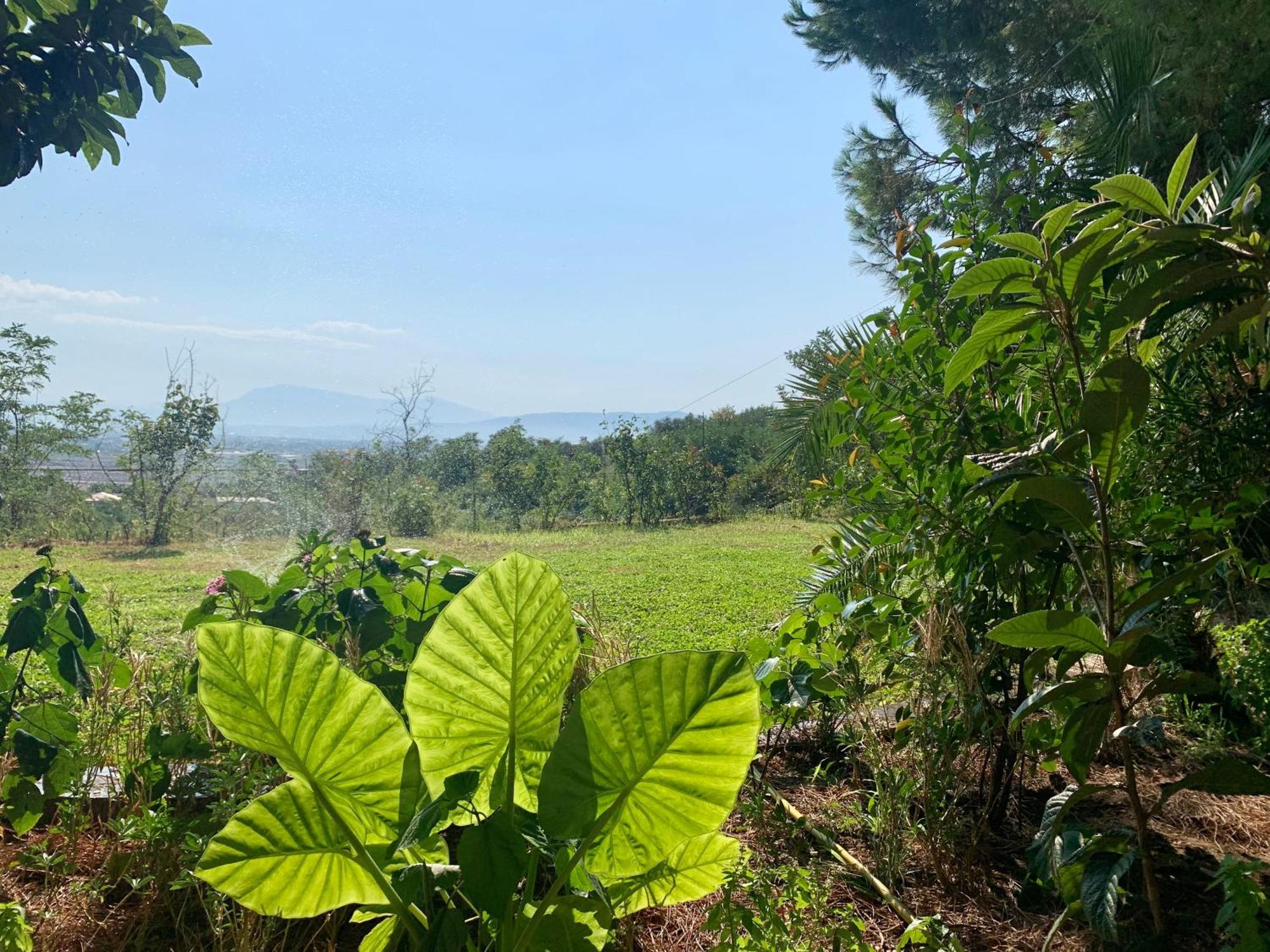 Hotel Nature Kolonje 外观 照片